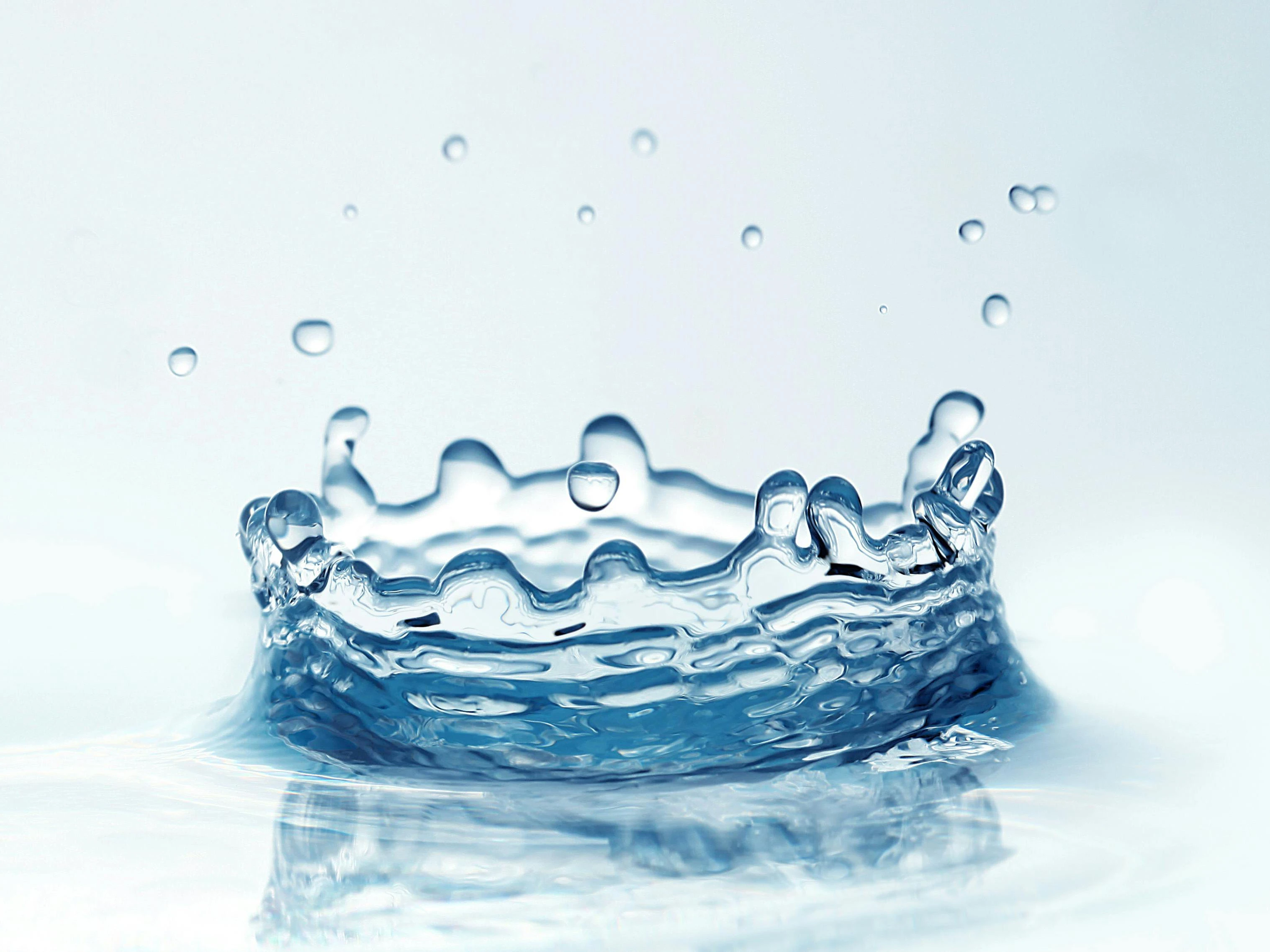Système de purification de l'eau
