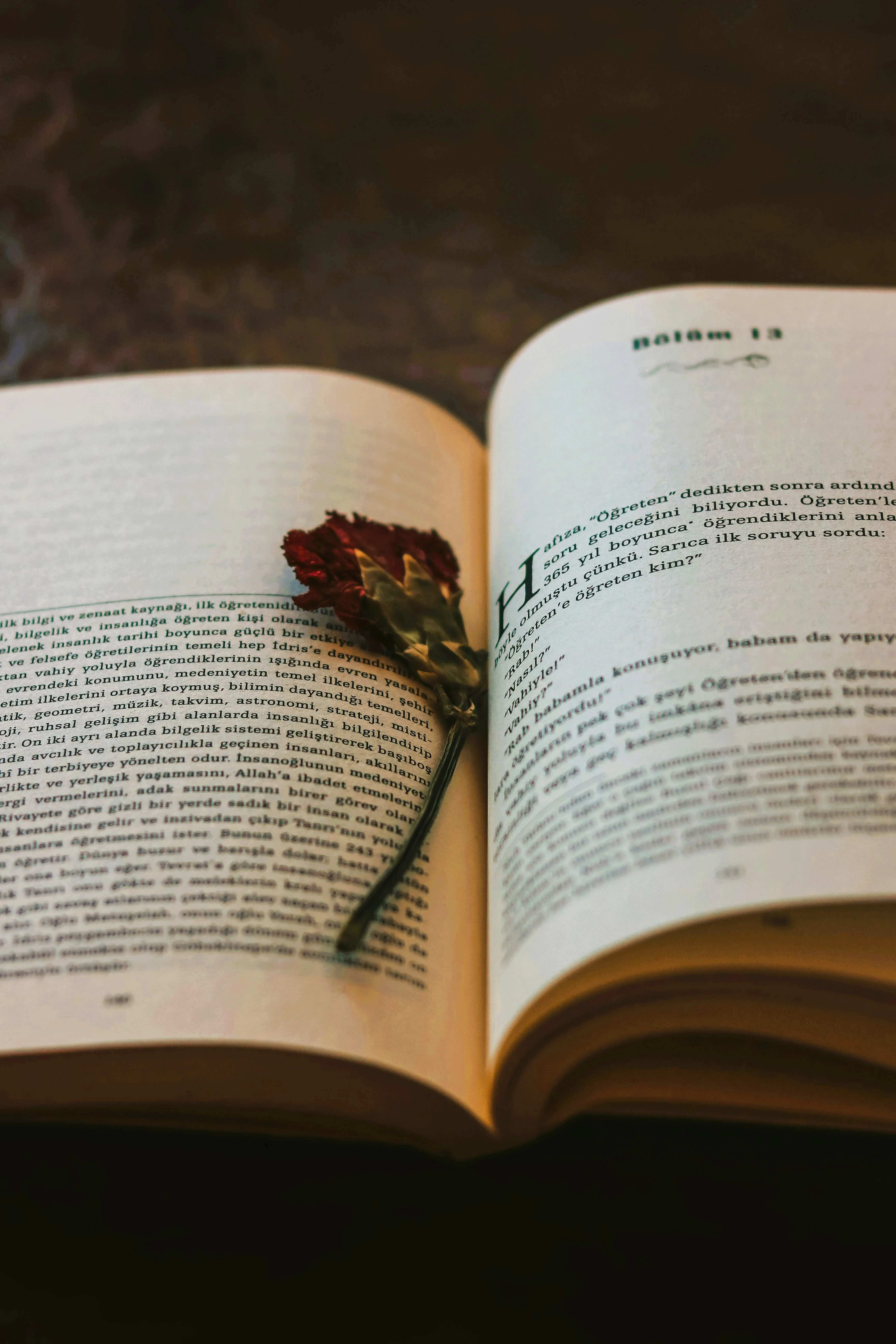 Vieux journal intime avec une fleur séchée en marque-page